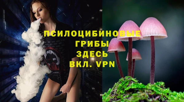 дживик Наволоки