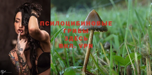 дживик Наволоки