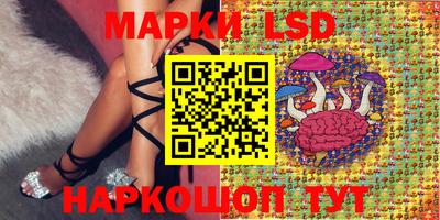 молекула духа Заводоуковск
