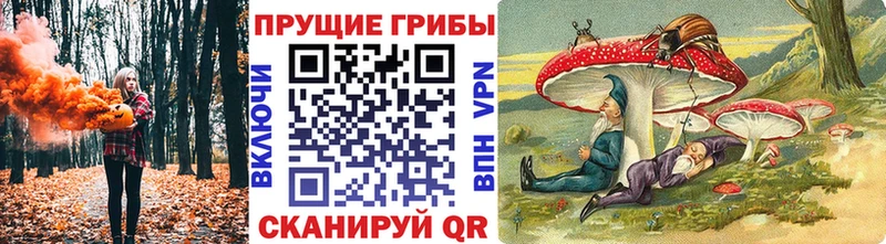 MEGA как войти  Энгельс  Галлюциногенные грибы мицелий 