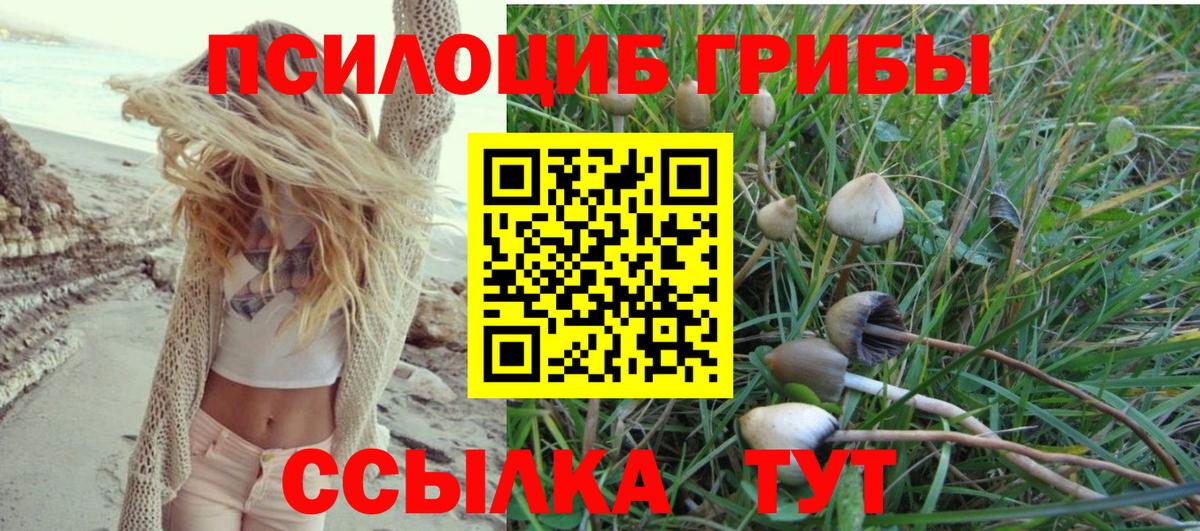 Галлюциногенные грибы GOLDEN TEACHER  что такое   Вход с VPN  Энгельс  Псилоцибиновые грибы мицелий 