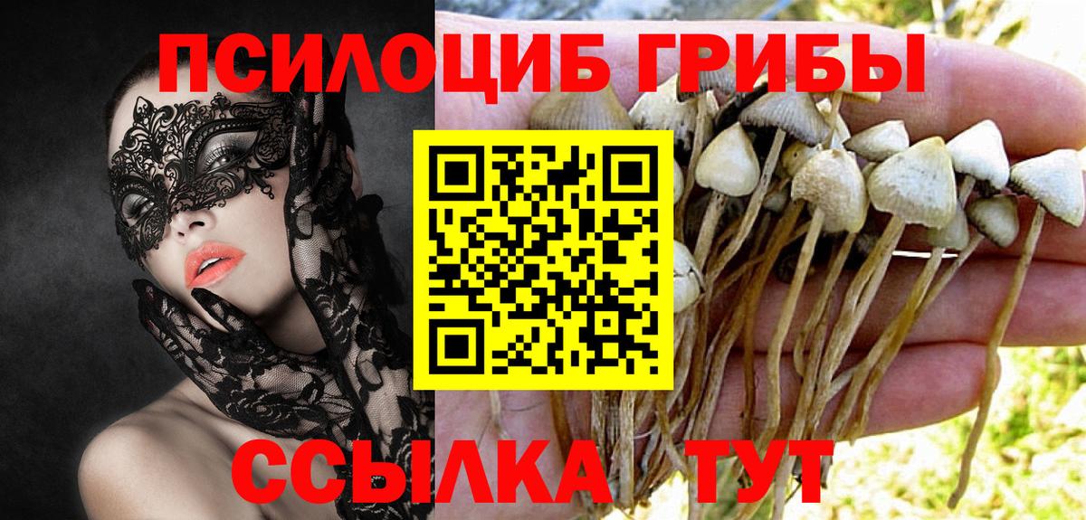 Галлюциногенные грибы MAGIC MUSHROOMS  Энгельс 