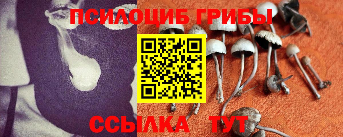 Псилоцибиновые грибы MAGIC MUSHROOMS Энгельс