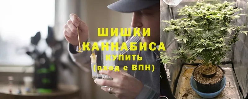 Шишки марихуана OG Kush  Энгельс 